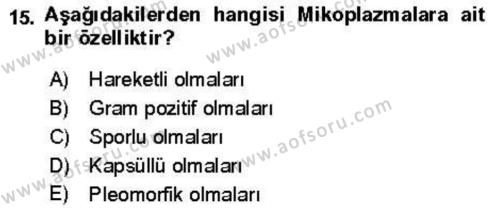 Veteriner Mikrobiyoloji ve Epidemiyoloji Dersi 2021 - 2022 Yılı Yaz Okulu Sınavı 15. Soru