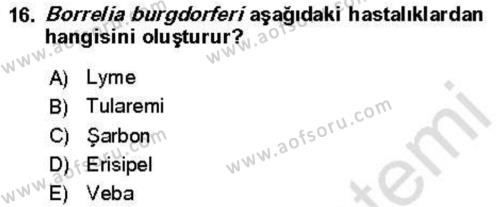 Veteriner Mikrobiyoloji ve Epidemiyoloji Dersi 2021 - 2022 Yılı Yaz Okulu Sınavı 16. Soru