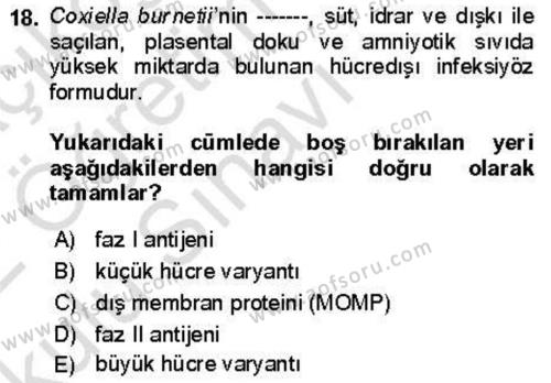 Veteriner Mikrobiyoloji ve Epidemiyoloji Dersi 2021 - 2022 Yılı Yaz Okulu Sınavı 18. Soru