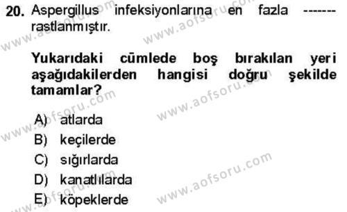 Veteriner Mikrobiyoloji ve Epidemiyoloji Dersi 2021 - 2022 Yılı Yaz Okulu Sınavı 20. Soru