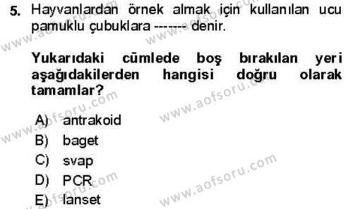 Veteriner Mikrobiyoloji ve Epidemiyoloji Dersi 2021 - 2022 Yılı Yaz Okulu Sınavı 5. Soru