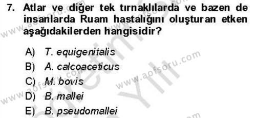 Veteriner Mikrobiyoloji ve Epidemiyoloji Dersi 2021 - 2022 Yılı Yaz Okulu Sınavı 7. Soru