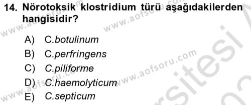 Veteriner Mikrobiyoloji ve Epidemiyoloji Dersi 2022 - 2023 Yılı Yaz Okulu Sınavı 14. Soru