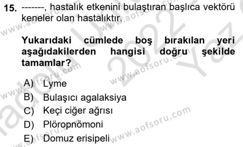 Veteriner Mikrobiyoloji ve Epidemiyoloji Dersi 2022 - 2023 Yılı Yaz Okulu Sınavı 15. Soru