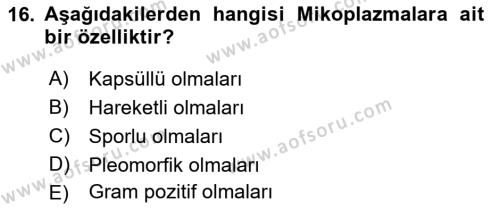 Veteriner Mikrobiyoloji ve Epidemiyoloji Dersi 2022 - 2023 Yılı Yaz Okulu Sınavı 16. Soru