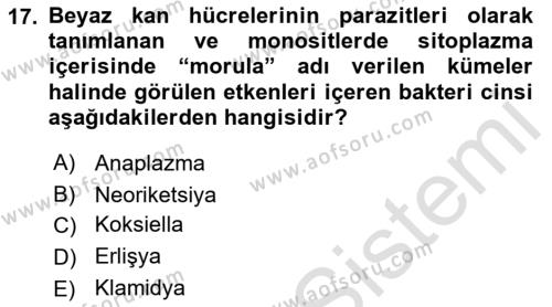 Veteriner Mikrobiyoloji ve Epidemiyoloji Dersi 2022 - 2023 Yılı Yaz Okulu Sınavı 17. Soru