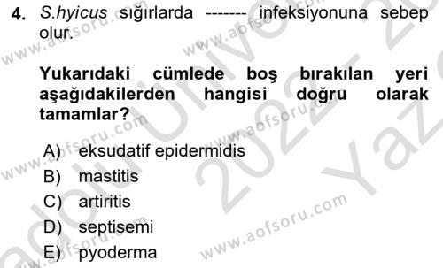 Veteriner Mikrobiyoloji ve Epidemiyoloji Dersi 2022 - 2023 Yılı Yaz Okulu Sınavı 4. Soru