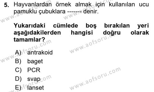 Veteriner Mikrobiyoloji ve Epidemiyoloji Dersi 2022 - 2023 Yılı Yaz Okulu Sınavı 5. Soru