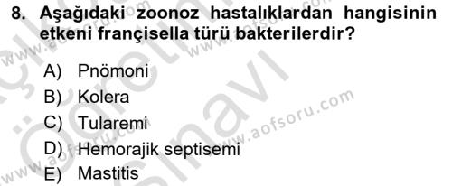 Veteriner Mikrobiyoloji ve Epidemiyoloji Dersi 2022 - 2023 Yılı Yaz Okulu Sınavı 8. Soru