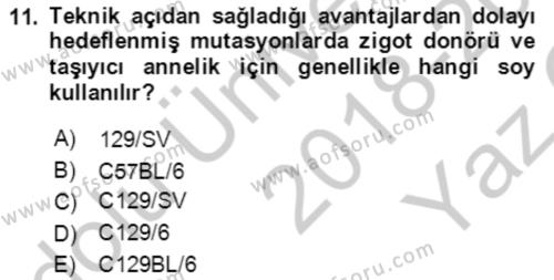 Laboratuvar Hayvanlarını Yetiştirme ve Sağlığı Dersi 2018 - 2019 Yılı Yaz Okulu Sınavı 11. Soru