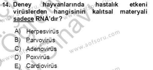 Laboratuvar Hayvanlarını Yetiştirme ve Sağlığı Dersi 2018 - 2019 Yılı Yaz Okulu Sınavı 14. Soru