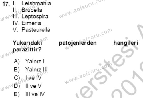 Laboratuvar Hayvanlarını Yetiştirme ve Sağlığı Dersi 2018 - 2019 Yılı Yaz Okulu Sınavı 17. Soru