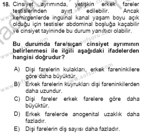 Laboratuvar Hayvanlarını Yetiştirme ve Sağlığı Dersi 2018 - 2019 Yılı Yaz Okulu Sınavı 18. Soru