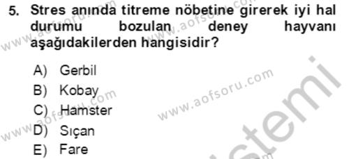 Laboratuvar Hayvanlarını Yetiştirme ve Sağlığı Dersi 2018 - 2019 Yılı Yaz Okulu Sınavı 5. Soru