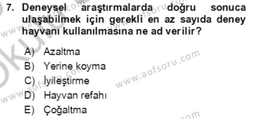 Laboratuvar Hayvanlarını Yetiştirme ve Sağlığı Dersi 2018 - 2019 Yılı Yaz Okulu Sınavı 7. Soru