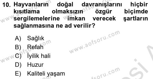 Laboratuvar Hayvanlarını Yetiştirme ve Sağlığı Dersi 2020 - 2021 Yılı Yaz Okulu Sınavı 10. Soru