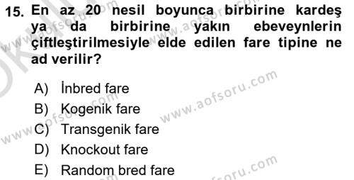 Laboratuvar Hayvanlarını Yetiştirme ve Sağlığı Dersi 2020 - 2021 Yılı Yaz Okulu Sınavı 15. Soru