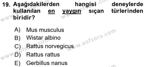 Laboratuvar Hayvanlarını Yetiştirme ve Sağlığı Dersi 2020 - 2021 Yılı Yaz Okulu Sınavı 19. Soru