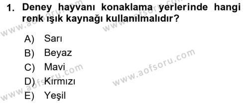 Laboratuvar Hayvanlarını Yetiştirme ve Sağlığı Dersi 2021 - 2022 Yılı (Final) Dönem Sonu Sınavı 1. Soru