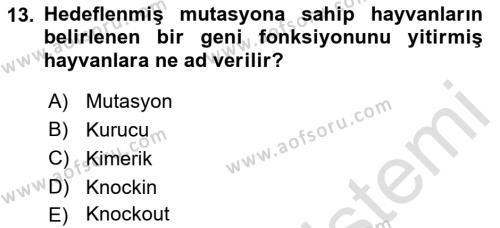 Laboratuvar Hayvanlarını Yetiştirme ve Sağlığı Dersi 2021 - 2022 Yılı (Final) Dönem Sonu Sınavı 13. Soru
