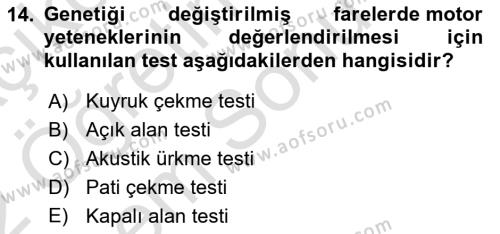 Laboratuvar Hayvanlarını Yetiştirme ve Sağlığı Dersi 2021 - 2022 Yılı (Final) Dönem Sonu Sınavı 14. Soru