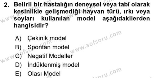 Laboratuvar Hayvanlarını Yetiştirme ve Sağlığı Dersi 2021 - 2022 Yılı (Final) Dönem Sonu Sınavı 2. Soru