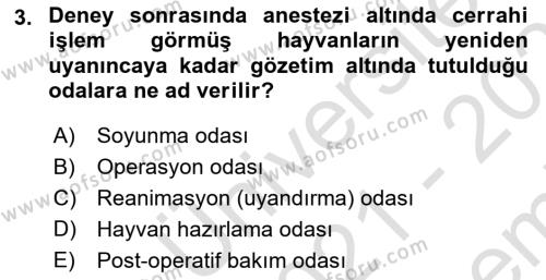 Laboratuvar Hayvanlarını Yetiştirme ve Sağlığı Dersi 2021 - 2022 Yılı (Final) Dönem Sonu Sınavı 3. Soru