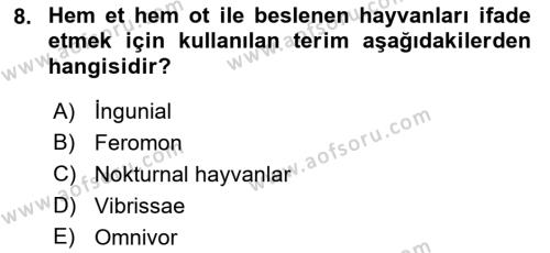 Laboratuvar Hayvanlarını Yetiştirme ve Sağlığı Dersi 2021 - 2022 Yılı (Final) Dönem Sonu Sınavı 8. Soru