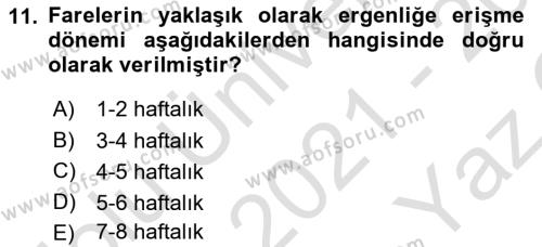 Laboratuvar Hayvanlarını Yetiştirme ve Sağlığı Dersi 2021 - 2022 Yılı Yaz Okulu Sınavı 11. Soru