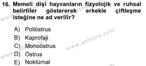 Laboratuvar Hayvanlarını Yetiştirme ve Sağlığı Dersi 2021 - 2022 Yılı Yaz Okulu Sınavı 16. Soru