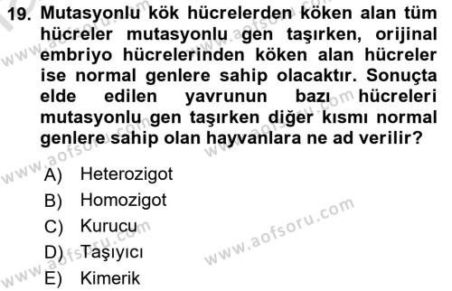 Laboratuvar Hayvanlarını Yetiştirme ve Sağlığı Dersi 2021 - 2022 Yılı Yaz Okulu Sınavı 19. Soru