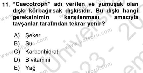 Laboratuvar Hayvanlarını Yetiştirme ve Sağlığı Dersi 2023 - 2024 Yılı (Final) Dönem Sonu Sınavı 11. Soru