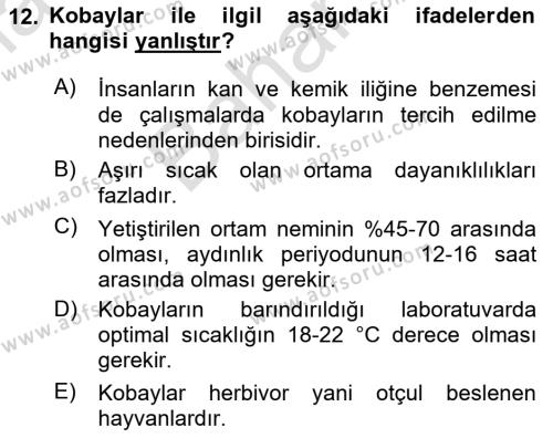 Laboratuvar Hayvanlarını Yetiştirme ve Sağlığı Dersi 2023 - 2024 Yılı (Final) Dönem Sonu Sınavı 12. Soru