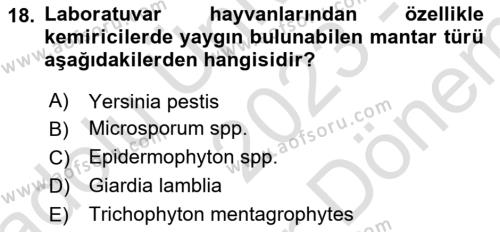 Laboratuvar Hayvanlarını Yetiştirme ve Sağlığı Dersi 2023 - 2024 Yılı (Final) Dönem Sonu Sınavı 18. Soru