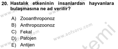 Laboratuvar Hayvanlarını Yetiştirme ve Sağlığı Dersi 2023 - 2024 Yılı (Final) Dönem Sonu Sınavı 20. Soru