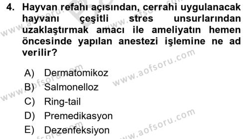 Laboratuvar Hayvanlarını Yetiştirme ve Sağlığı Dersi 2023 - 2024 Yılı (Final) Dönem Sonu Sınavı 4. Soru