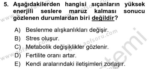 Laboratuvar Hayvanlarını Yetiştirme ve Sağlığı Dersi 2023 - 2024 Yılı (Final) Dönem Sonu Sınavı 5. Soru