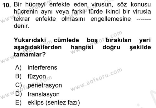 Viroloji Dersi 2018 - 2019 Yılı (Vize) Ara Sınavı 10. Soru