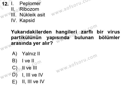 Viroloji Dersi 2018 - 2019 Yılı (Vize) Ara Sınavı 12. Soru