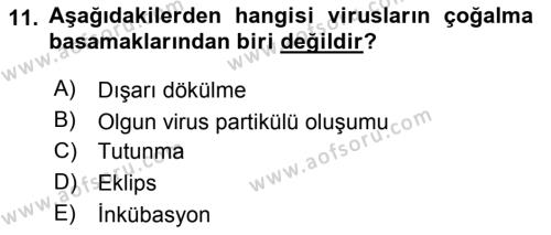 Viroloji Dersi 2019 - 2020 Yılı (Vize) Ara Sınavı 11. Soru