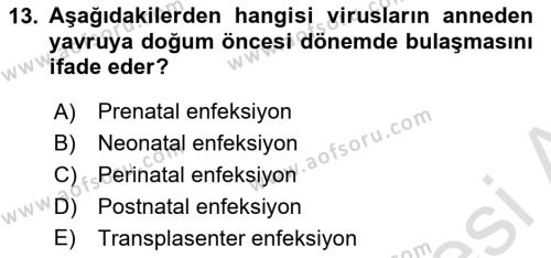 Viroloji Dersi 2019 - 2020 Yılı (Vize) Ara Sınavı 13. Soru