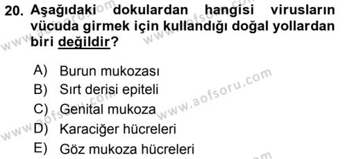 Viroloji Dersi 2019 - 2020 Yılı (Vize) Ara Sınavı 20. Soru