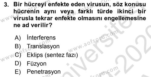 Viroloji Dersi 2019 - 2020 Yılı (Vize) Ara Sınavı 3. Soru