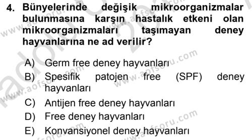 Viroloji Dersi 2019 - 2020 Yılı (Vize) Ara Sınavı 4. Soru