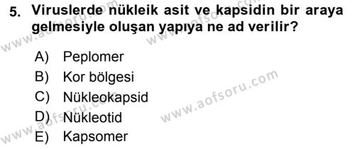 Viroloji Dersi 2019 - 2020 Yılı (Vize) Ara Sınavı 5. Soru