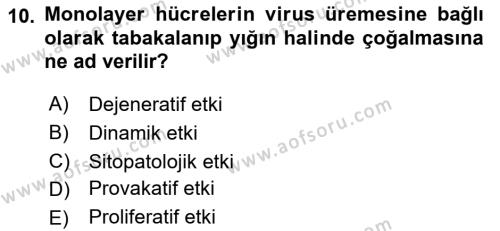 Viroloji Dersi 2021 - 2022 Yılı (Vize) Ara Sınavı 10. Soru