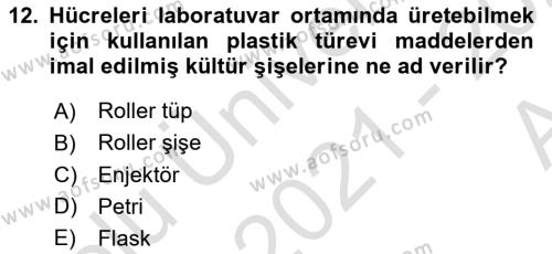 Viroloji Dersi 2021 - 2022 Yılı (Vize) Ara Sınavı 12. Soru