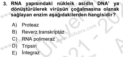 Viroloji Dersi 2021 - 2022 Yılı (Vize) Ara Sınavı 3. Soru