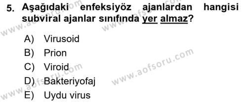 Viroloji Dersi 2021 - 2022 Yılı (Vize) Ara Sınavı 5. Soru