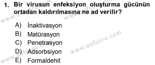 Viroloji Dersi 2021 - 2022 Yılı Yaz Okulu Sınavı 1. Soru